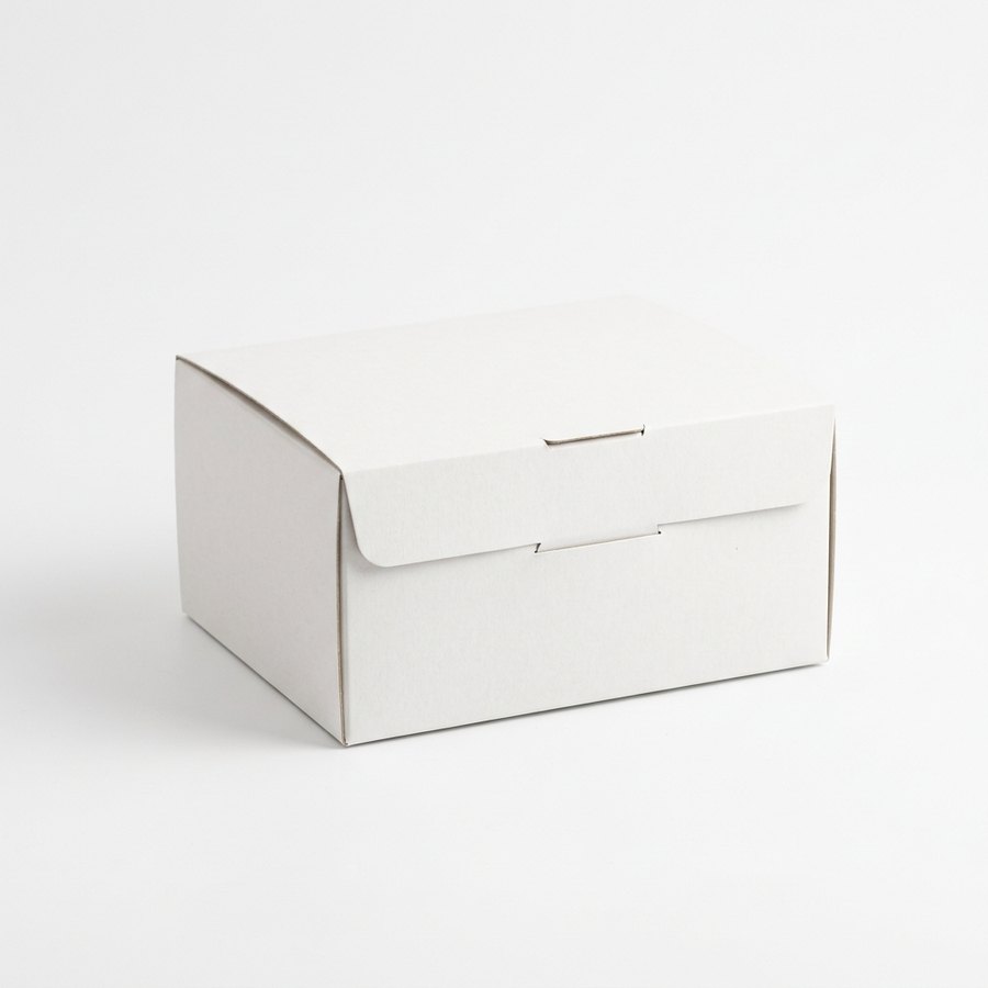 Caja Pasta Blanca 500gr